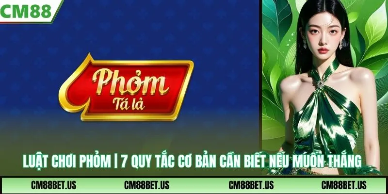 Luật Chơi Phỏm | 7 Quy Tắc Cơ Bản Người Muốn Thắng Cần Biết
